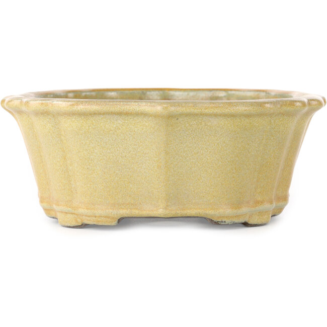 Vaso bonsai Lotus arancione di Tosui - 252 x 197 x 73 mm