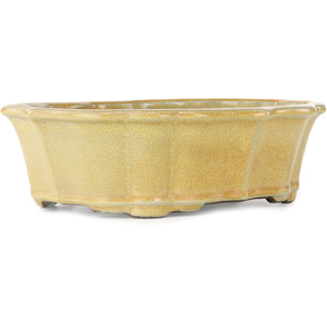 Lotus orange bonsai pot by Tosui - 252 x 197 x 73 mm