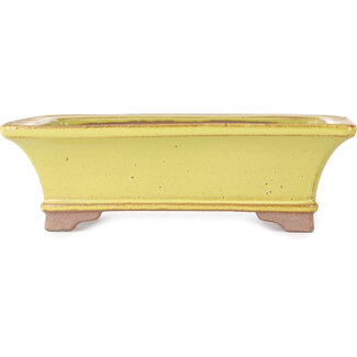 Seizan (Reihou, Kataoka Katsushi, master Seizan kiln) Maceta rectangular amarilla para bonsái de 213 mm de Seizan (Reihou, Kataoka Katsushi, maestro horno Seizan), Tokoname, Japón