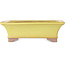 Vaso bonsai rettangolare giallo di Seizan (Reihou, Kataoka Katsushi, forno del maestro Seizan) - 213 x 163 x 68 mm