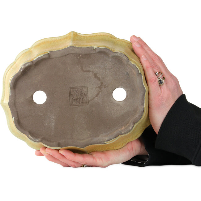 Lotus orange bonsai pot by Tosui - 252 x 197 x 73 mm