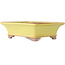 Maceta rectangular amarilla para bonsái de Seizan (Reihou, Kataoka Katsushi, maestro del horno Seizan) - 213 x 163 x 68 mm