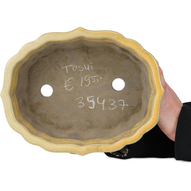 Vaso bonsai Lotus arancione di Tosui - 252 x 197 x 73 mm