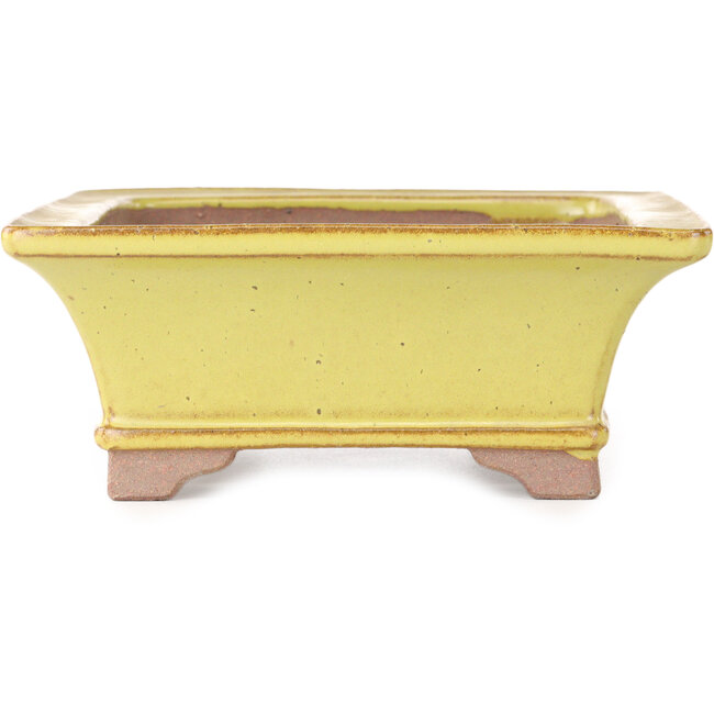 Vaso bonsai rettangolare giallo di Seizan (Reihou, Kataoka Katsushi, forno del maestro Seizan) - 213 x 163 x 68 mm