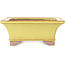 Maceta rectangular amarilla para bonsái de Seizan (Reihou, Kataoka Katsushi, maestro del horno Seizan) - 213 x 163 x 68 mm