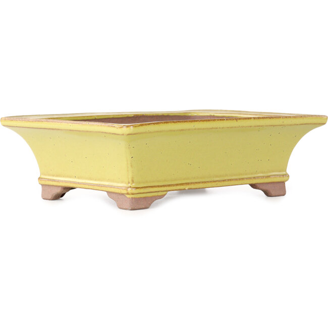 Maceta rectangular amarilla para bonsái de Seizan (Reihou, Kataoka Katsushi, maestro del horno Seizan) - 213 x 163 x 68 mm