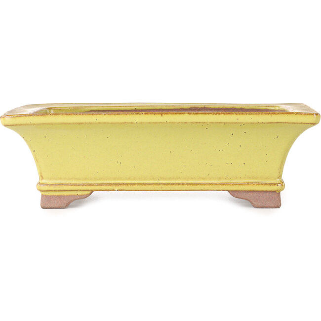 Maceta rectangular amarilla para bonsái de Seizan (Reihou, Kataoka Katsushi, maestro del horno Seizan) - 213 x 163 x 68 mm