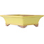 Pot à bonsaï rectangulaire jaune par Seizan (Reihou, Kataoka Katsushi, maître four Seizan) - 213 x 163 x 68 mm