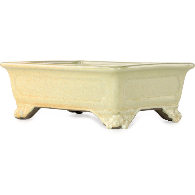 Maceta rectangular para bonsái en color blanco roto y naranja de Tosui - 227 x 167 x 77 mm