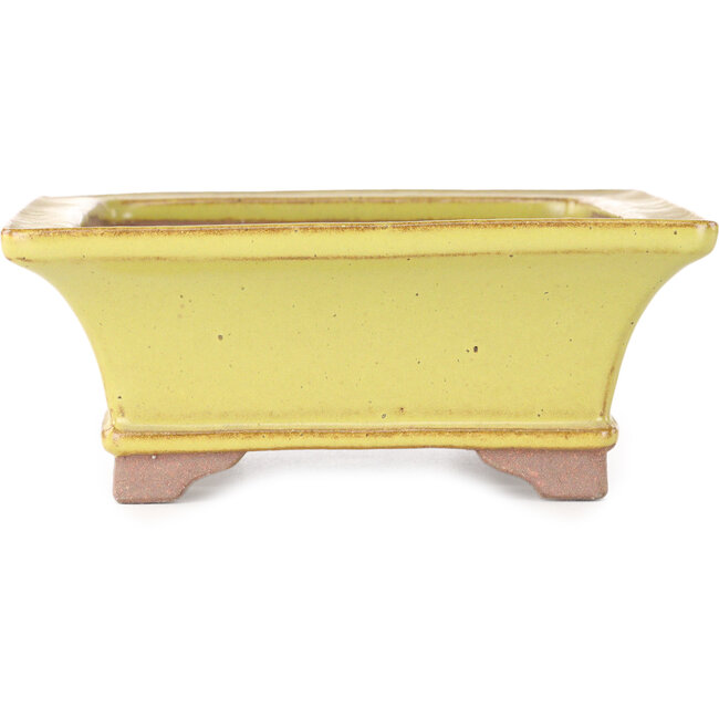 Pot à bonsaï rectangulaire jaune par Seizan (Reihou, Kataoka Katsushi, maître four Seizan) - 213 x 163 x 68 mm