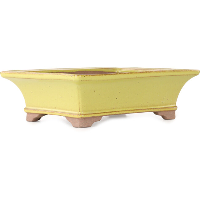 Rechthoekige gele bonsaipot van Seizan (Reihou, Kataoka Katsushi, meester Seizan oven) - 213 x 163 x 68 mm