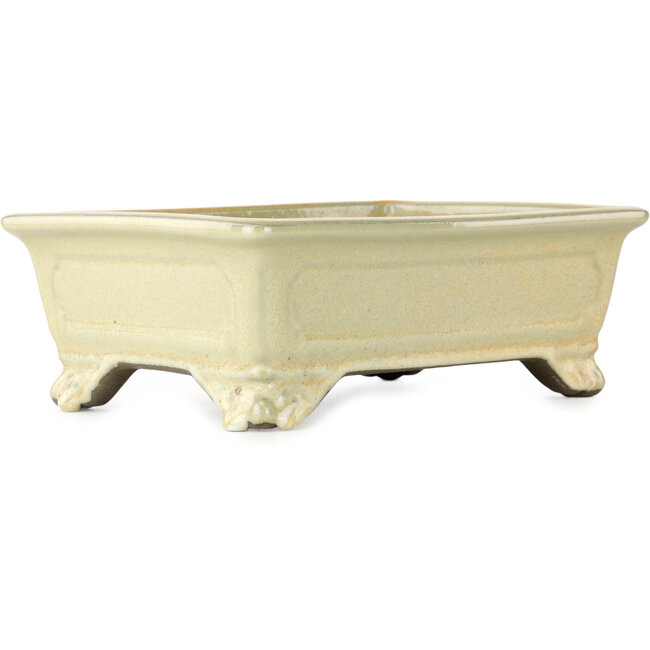 Vaso bonsai rettangolare bianco sporco e arancione di Tosui - 227 x 167 x 77 mm