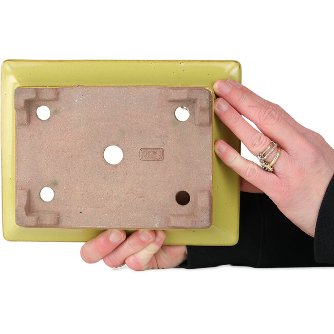 Rechthoekige gele bonsaipot van Seizan (Reihou, Kataoka Katsushi, meester Seizan oven) - 213 x 163 x 68 mm