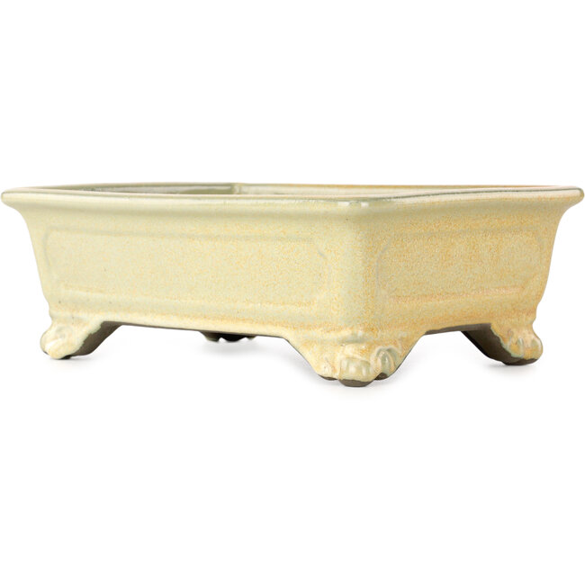 Rectangular off-white and orange bonsai pot by Tosui - 227 x 167 x 77 mm