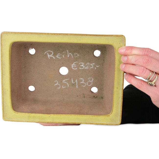 Pot à bonsaï rectangulaire jaune par Seizan (Reihou, Kataoka Katsushi, maître four Seizan) - 213 x 163 x 68 mm
