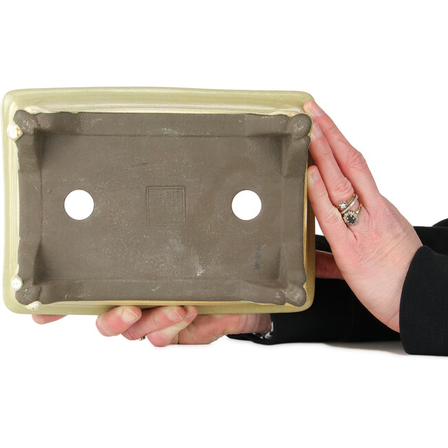 Pot à bonsaï rectangulaire blanc cassé et orange de Tosui - 227 x 167 x 77 mm