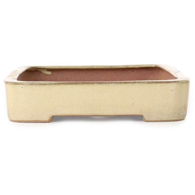 Pot à bonsaï rectangulaire blanc cassé par Seizan (Reihou, Kataoka Katsushi, maître four Seizan) - 255 x 178 x 37 mm