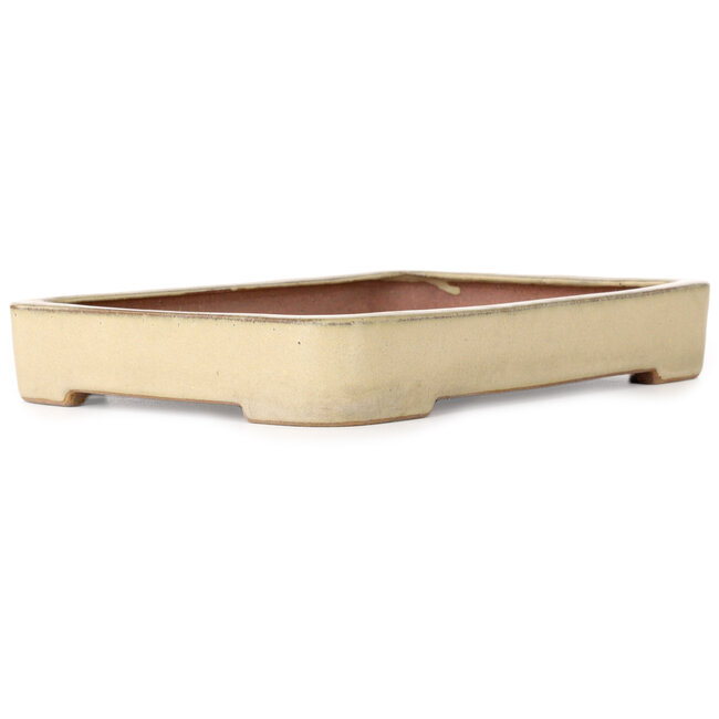 Rectangular off-white bonsai pot by Seizan (Reihou, Kataoka Katsushi, master Seizan kiln) - 255 x 178 x 37 mm