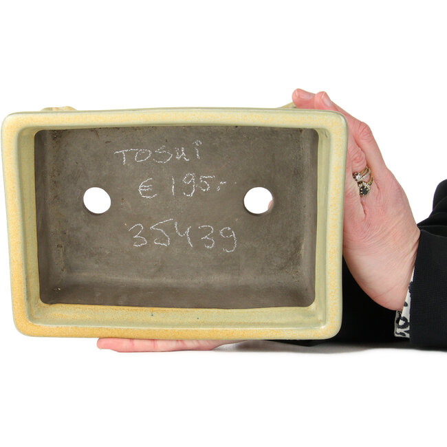 Rechteckiger Bonsai-Topf von Tosui in Cremeweiß und Orange – 227 x 167 x 77 mm