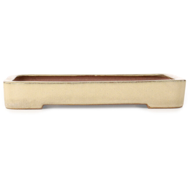 Maceta rectangular para bonsái de color blanquecino de Seizan (Reihou, Kataoka Katsushi, maestro del horno Seizan) - 255 x 178 x 37 mm