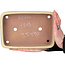 Pot à bonsaï rectangulaire blanc cassé par Seizan (Reihou, Kataoka Katsushi, maître four Seizan) - 255 x 178 x 37 mm