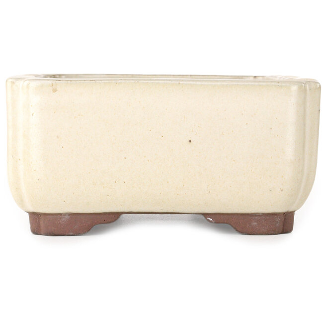 Maceta rectangular para bonsái de color blanco roto de Yamaaki - 240 x 190 x 90 mm
