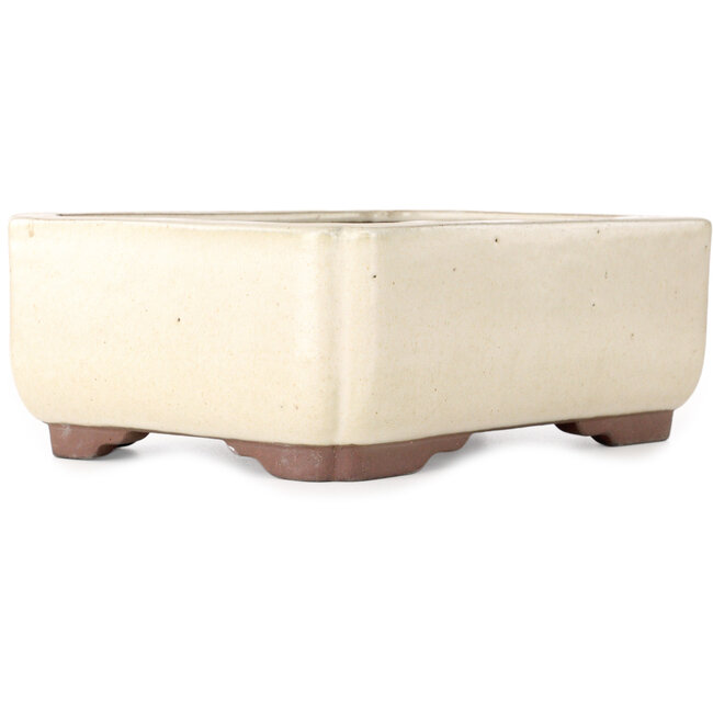 Maceta rectangular para bonsái de color blanco roto de Yamaaki - 240 x 190 x 90 mm
