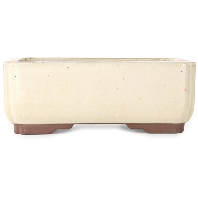 Rectangular off-white bonsai pot by Yamaaki - 240 x 190 x 90 mm