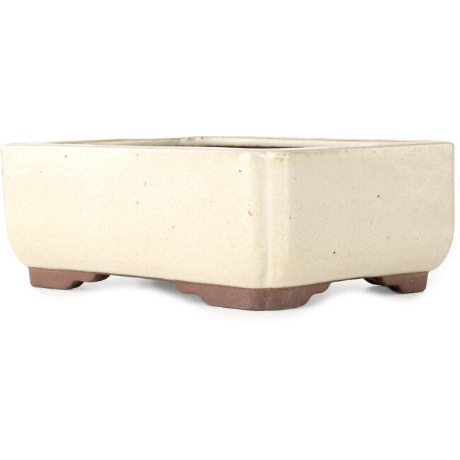 Rectangular off-white bonsai pot by Yamaaki - 240 x 190 x 90 mm