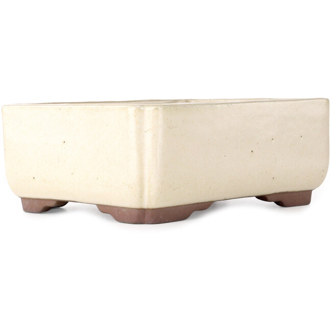 Rectangular off-white bonsai pot by Yamaaki - 240 x 190 x 90 mm
