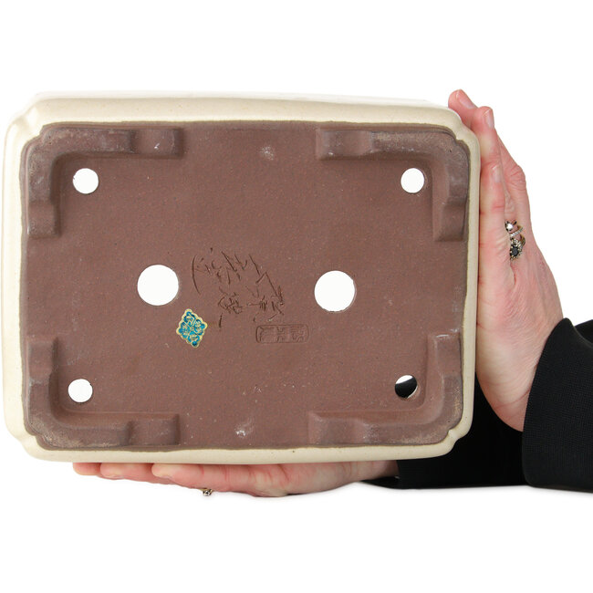 Rectangular off-white bonsai pot by Yamaaki - 240 x 190 x 90 mm