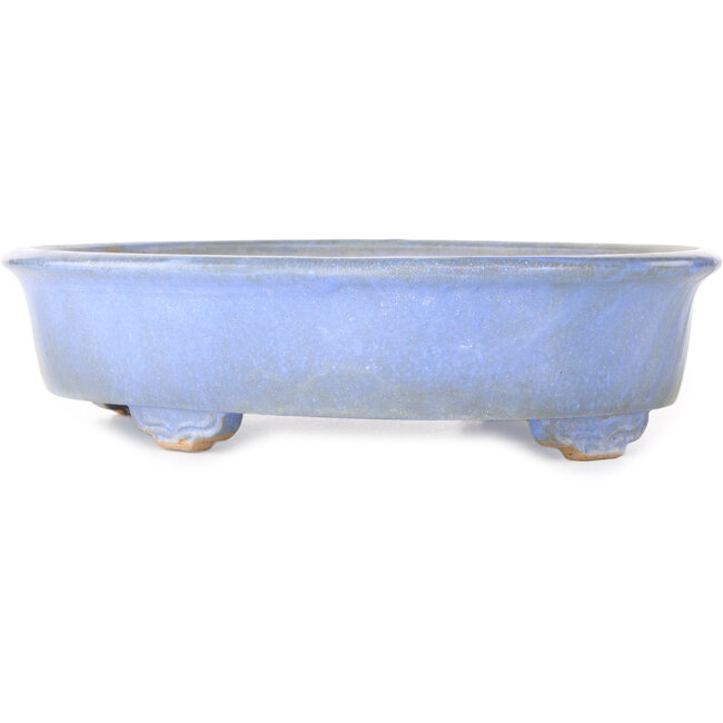 Pot ovale bleu pour bonsaï de Wabachi - 312 x 227 x 72 mm