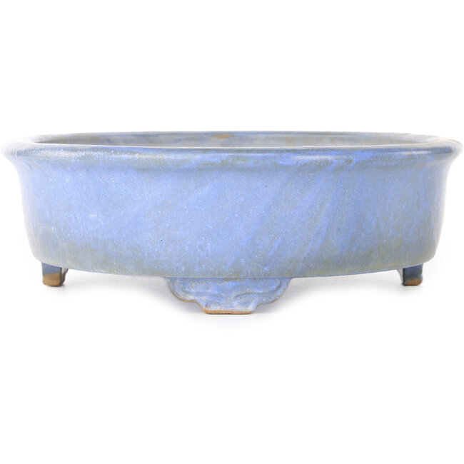 Maceta ovalada azul para bonsái de Wabachi - 312 x 227 x 72 mm