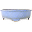 Ovaler blauer Bonsai-Topf von Wabachi – 312 x 227 x 72 mm