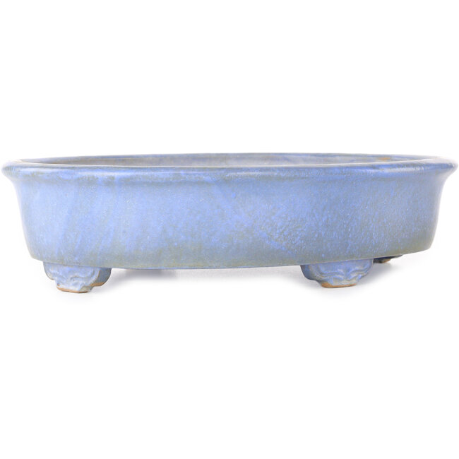 Oval blue bonsai pot by Wabachi - 312 x 227 x 72 mm