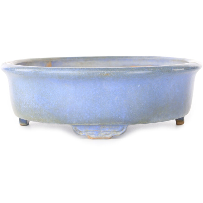 Maceta ovalada azul para bonsái de Wabachi - 312 x 227 x 72 mm