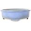 Vaso bonsai ovale blu di Wabachi - 312 x 227 x 72 mm