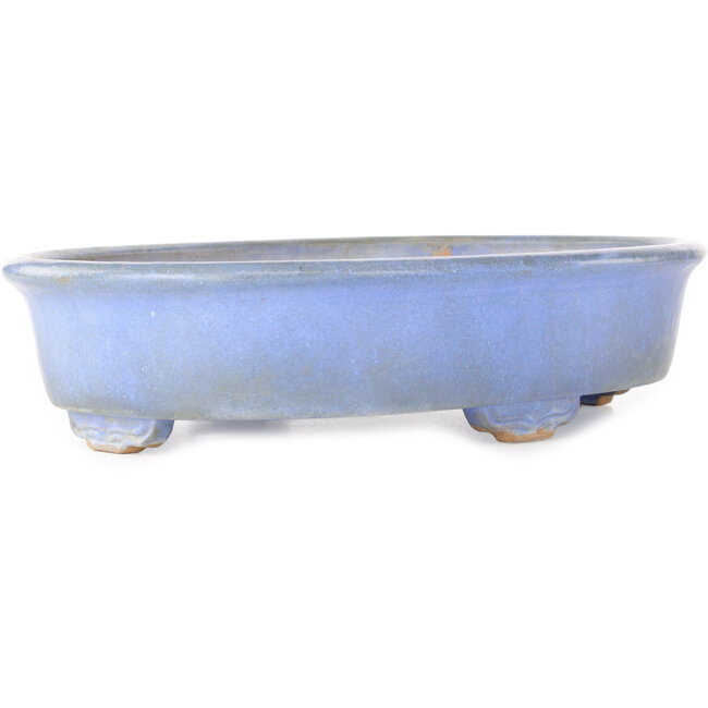 Pot ovale bleu pour bonsaï de Wabachi - 312 x 227 x 72 mm