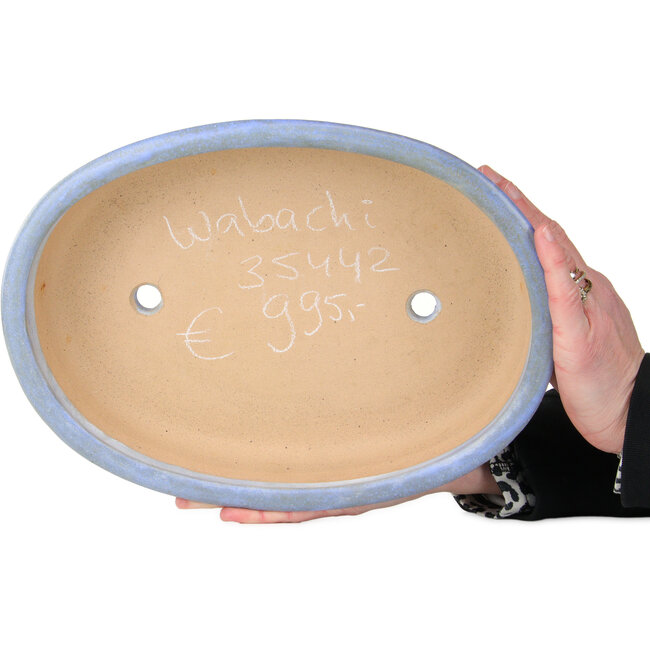 Maceta ovalada azul para bonsái de Wabachi - 312 x 227 x 72 mm