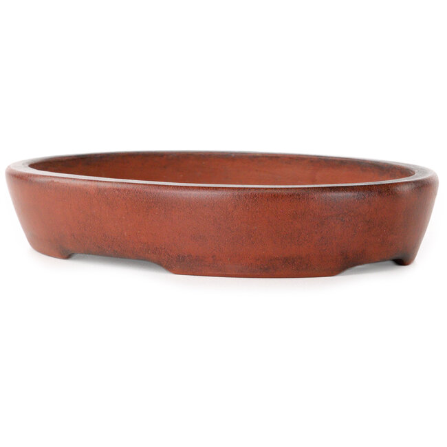 Vaso bonsai ovale non smaltato di Nakawatari - 190 x 140 x 35 mm