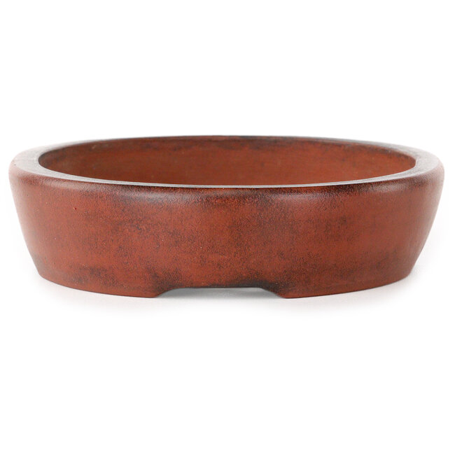 Pot à bonsaï ovale non émaillé de Nakawatari - 190 x 140 x 35 mm