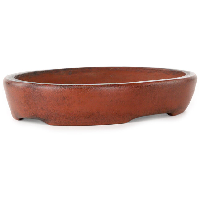 Ovaler, unglasierter Bonsai-Topf von Nakawatari – 190 x 140 x 35 mm