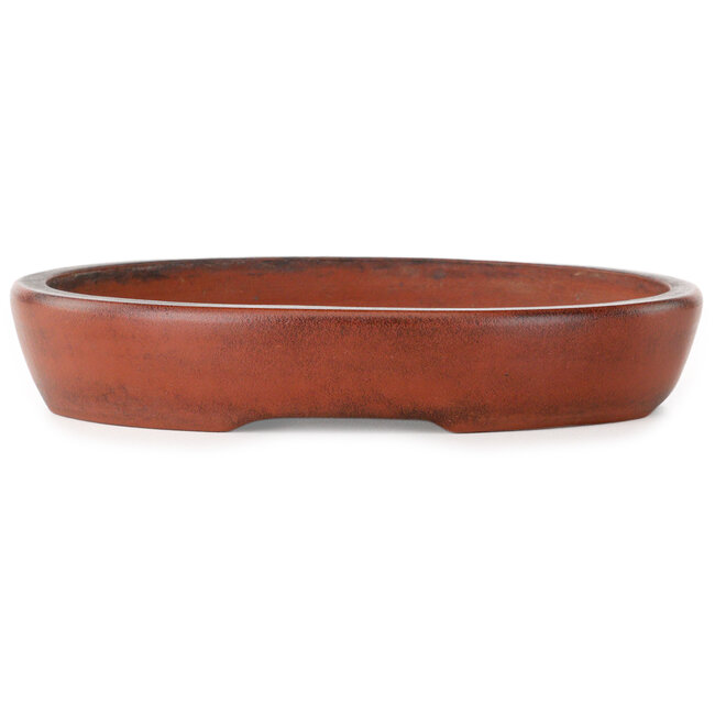 Oval unglazed bonsai pot by Nakawatari - 190 x 140 x 35 mm