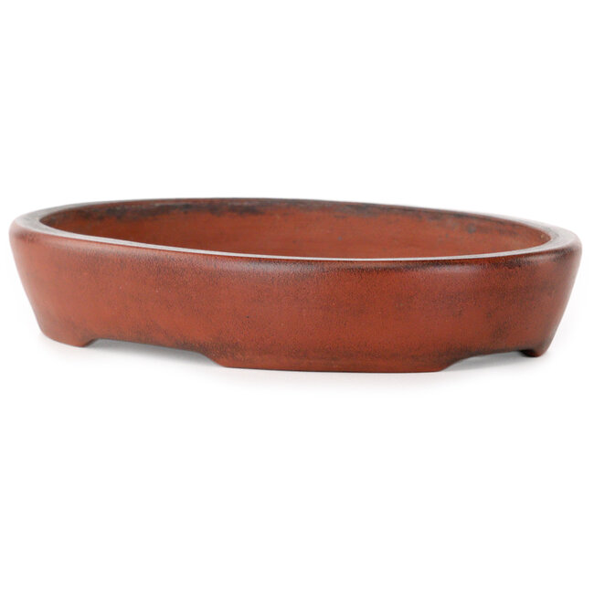 Oval unglazed bonsai pot by Nakawatari - 190 x 140 x 35 mm