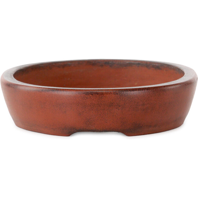 Maceta ovalada sin esmaltar para bonsái de Nakawatari - 190 x 140 x 35 mm