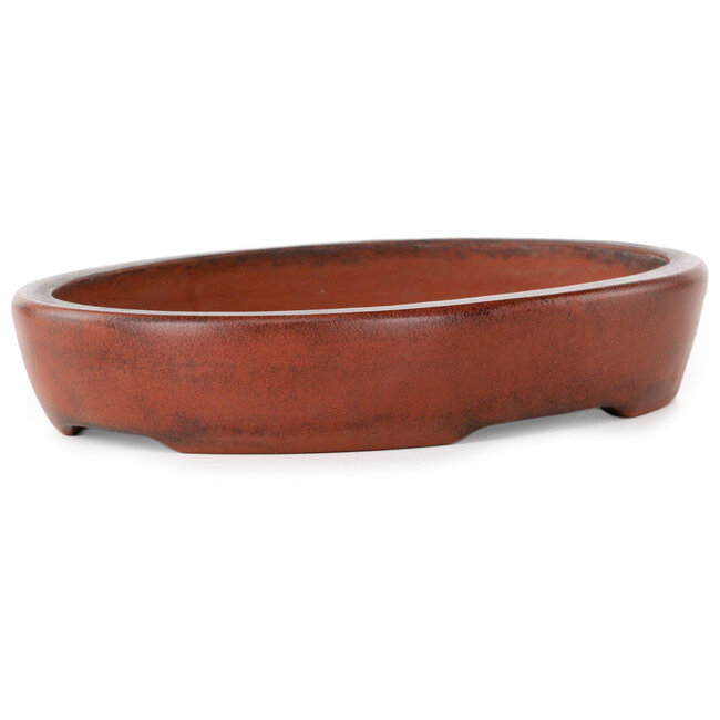 Vaso bonsai ovale non smaltato di Nakawatari - 190 x 140 x 35 mm