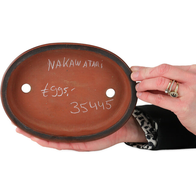 Pot à bonsaï ovale non émaillé de Nakawatari - 190 x 140 x 35 mm