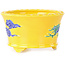 Vaso bonsai rotondo giallo, blu e verde di Tou Ai - 80 x 80 x 45 mm