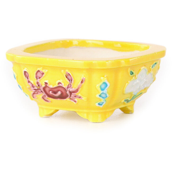 Vaso bonsai quadrato viola, blu e bianco di Tou Ai - 48 x 48 x 20 mm