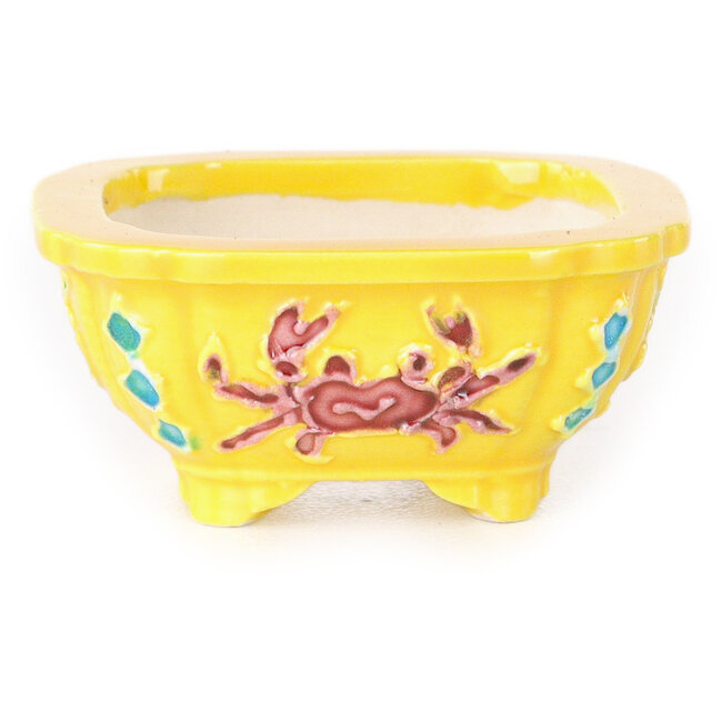 Pot à bonsaï carré violet, bleu et blanc de Tou Ai - 48 x 48 x 20 mm